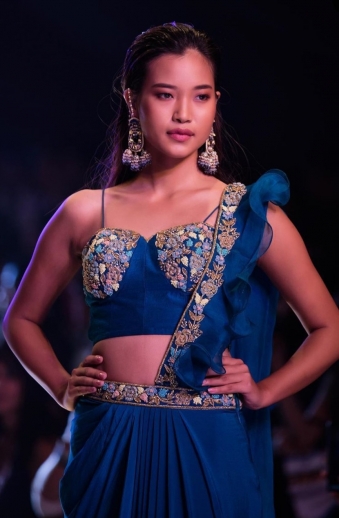 Blue Color Concept Saree