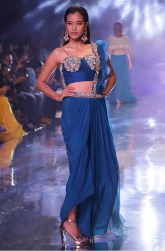 Blue Color Concept Saree