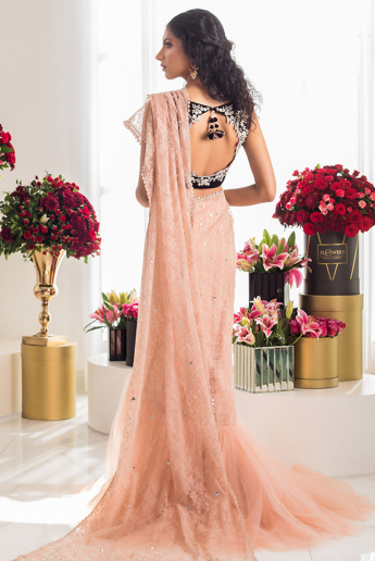 Peach Saree Gown